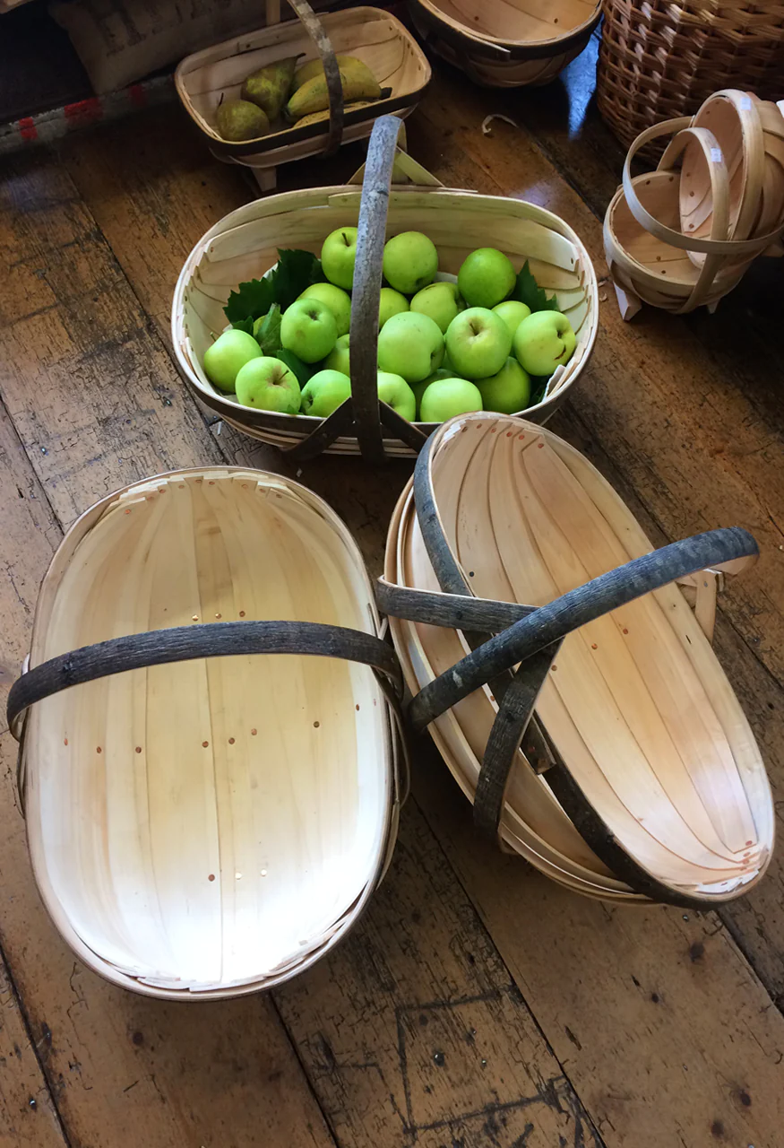 Apple Trug