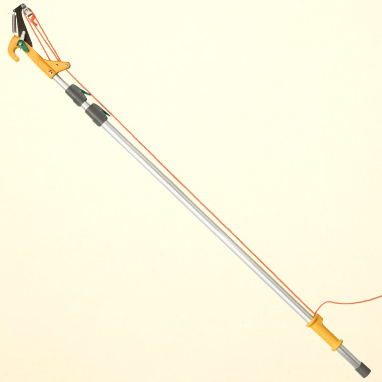 extendable branch loppers